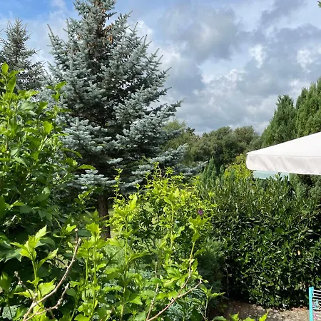 Appartement Am Paelitzsee-2 By Interhome Strasen